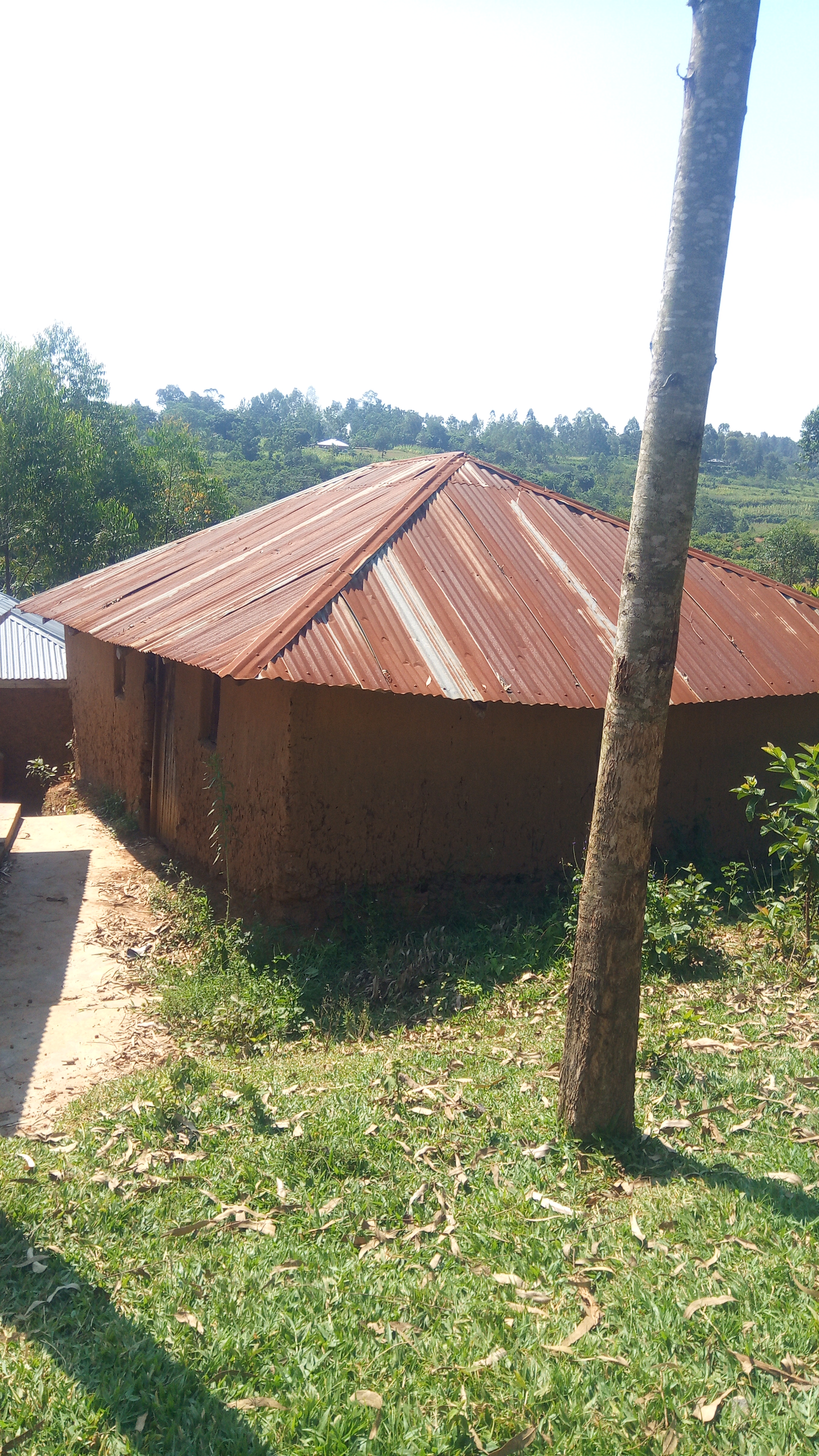 Village Moments Extremely Therapeutic: Discover a Whole New World